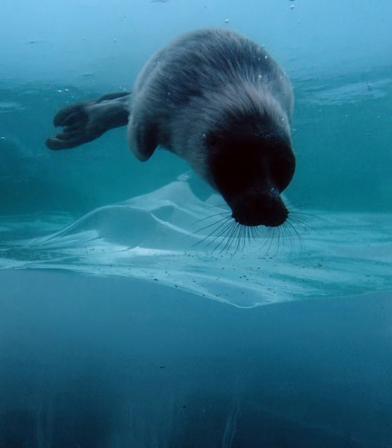 Природа и климат