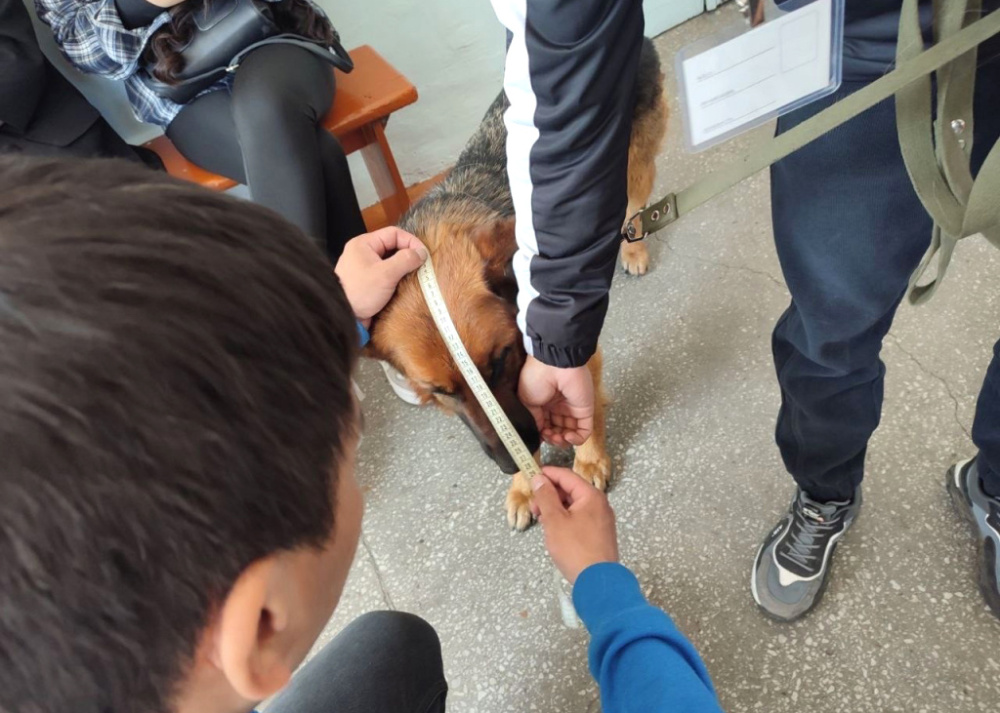 На технологическом факультете БГСХА прошёл конкурс «Лучший кинолог»