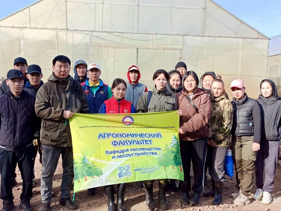 Студенты агрономического факультета провели посев семян сосны обыкновенной