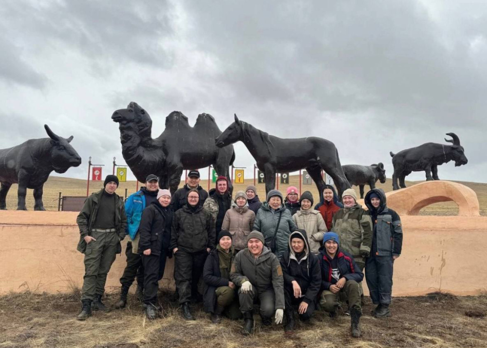 Студенты-ветеринары Бурятской ГСХА чипировали верблюдов