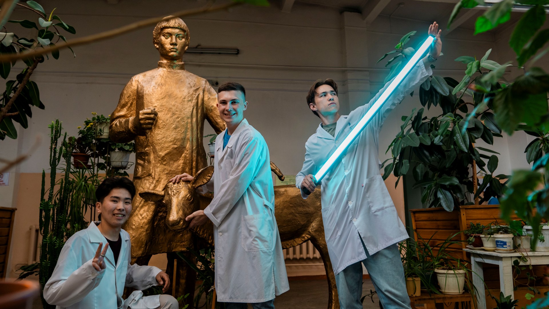 Образование