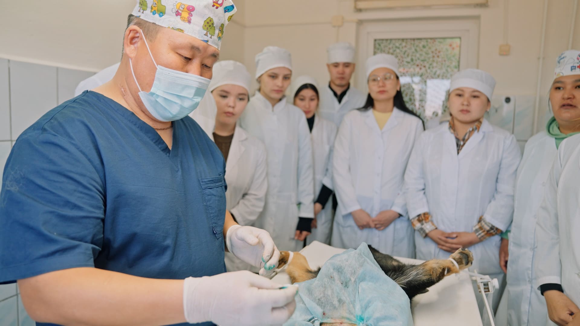 Факультет ветеринарной медицины