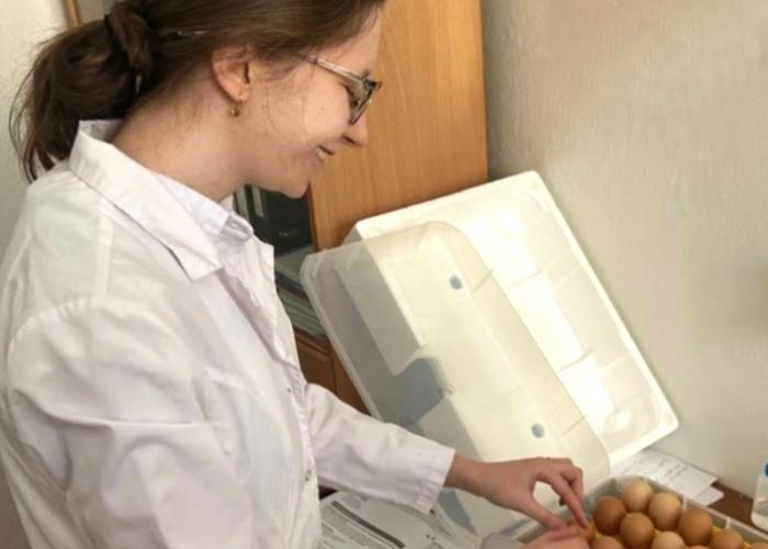 Бурятская ГСХА подвела итоги конкурса научных грантов: 13 проектов получат 1 млн рублей  
