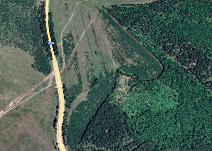 Ученые Бурятской ГСХА считают, что заросшие лесом сельхозугодья в республике могут использоваться для агролесоводства 