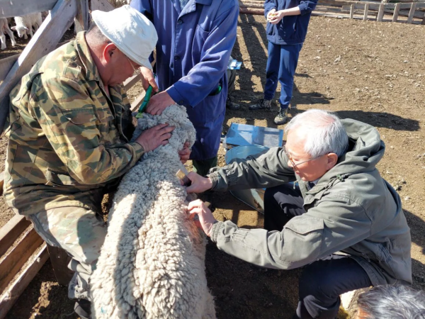 Сотрудники Бурятской ГСХА оказали практическую помощь сельхозпредприятиям Селенгинского района