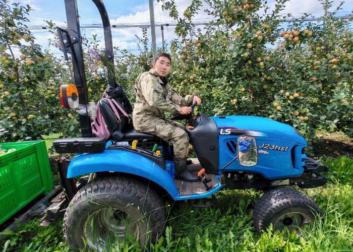 Студенты Бурятской ГСХА присоединились к всероссийскому сбору яблок