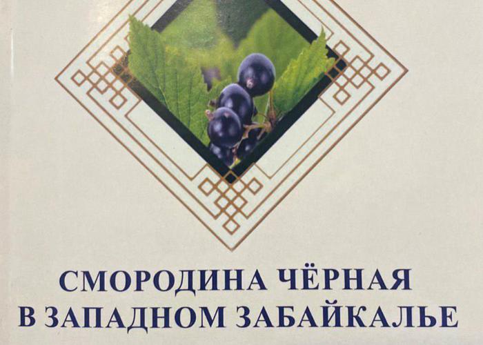 Вышла в свет монография «Смородина черная в Западном Забайкалье» 